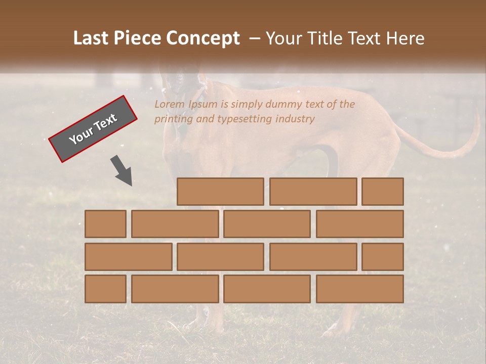 A Large Brown Dog Standing In The Grass PowerPoint Template