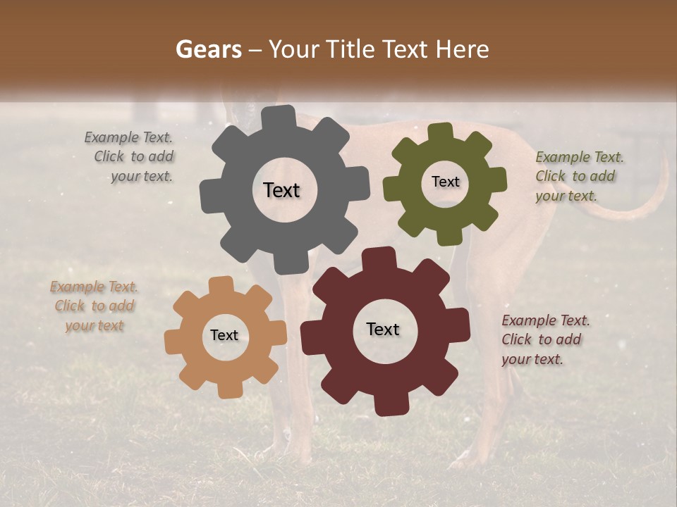 A Large Brown Dog Standing In The Grass PowerPoint Template