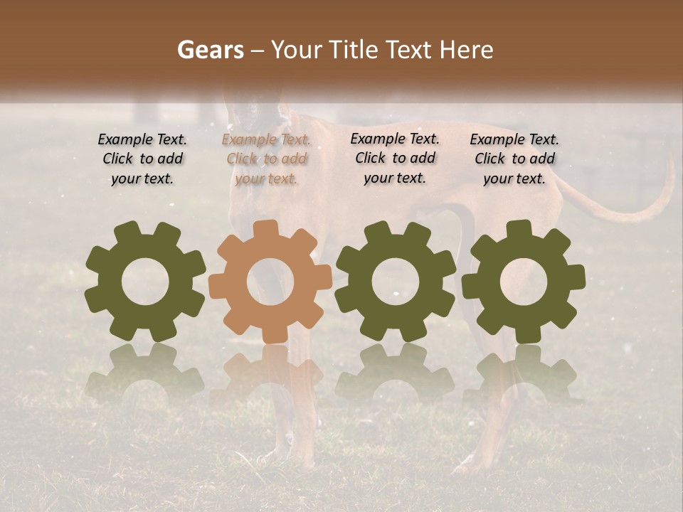 A Large Brown Dog Standing In The Grass PowerPoint Template