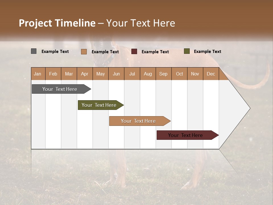 A Large Brown Dog Standing In The Grass PowerPoint Template