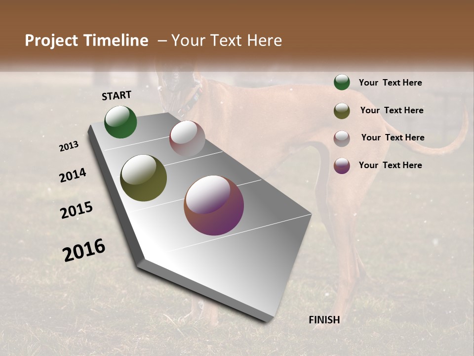 A Large Brown Dog Standing In The Grass PowerPoint Template