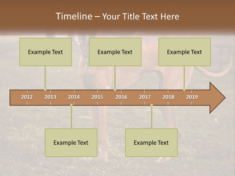 A Large Brown Dog Standing In The Grass PowerPoint Template