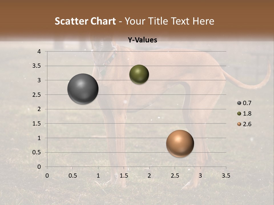 A Large Brown Dog Standing In The Grass PowerPoint Template
