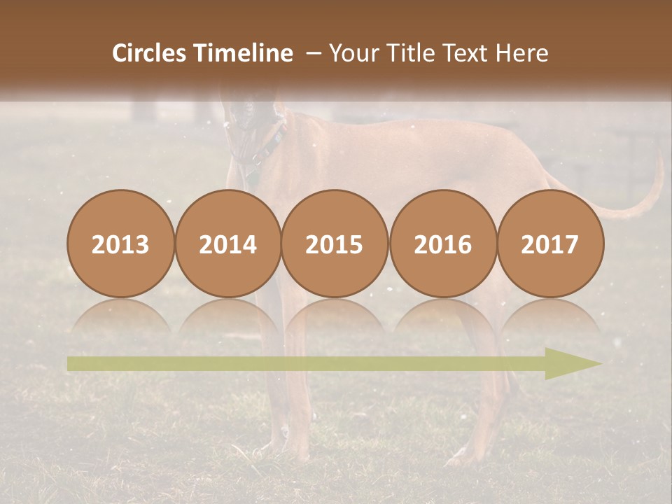 A Large Brown Dog Standing In The Grass PowerPoint Template