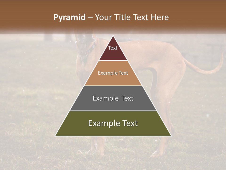A Large Brown Dog Standing In The Grass PowerPoint Template