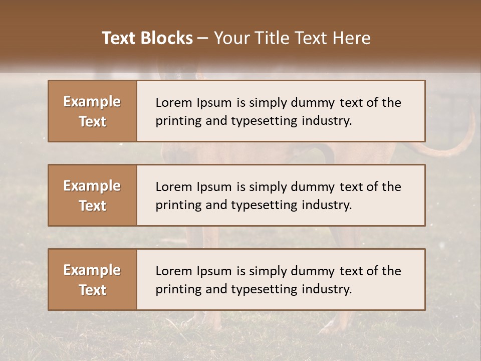 A Large Brown Dog Standing In The Grass PowerPoint Template