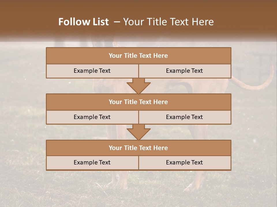 A Large Brown Dog Standing In The Grass PowerPoint Template