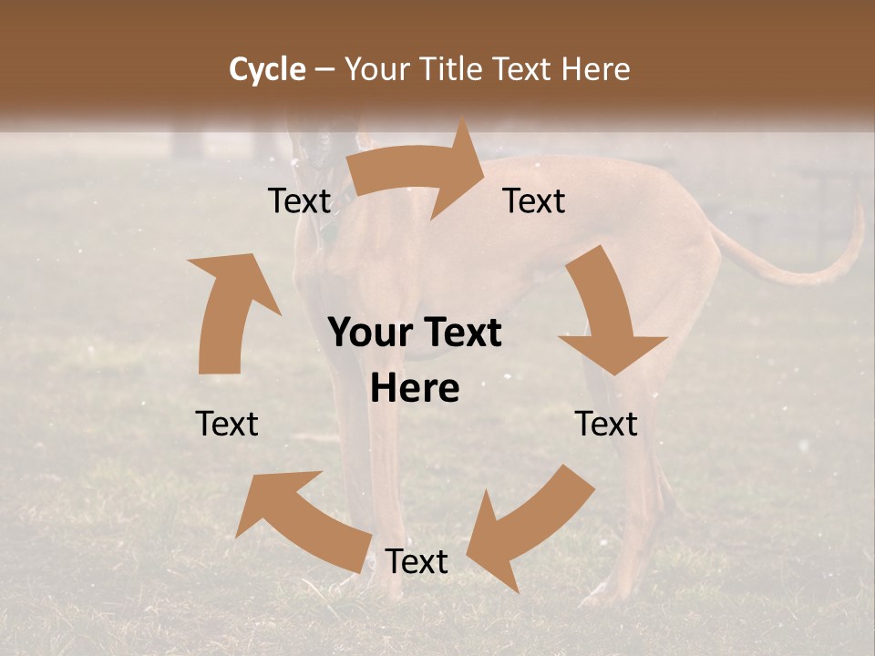 A Large Brown Dog Standing In The Grass PowerPoint Template