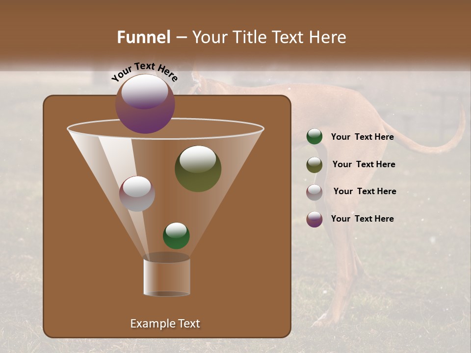 A Large Brown Dog Standing In The Grass PowerPoint Template