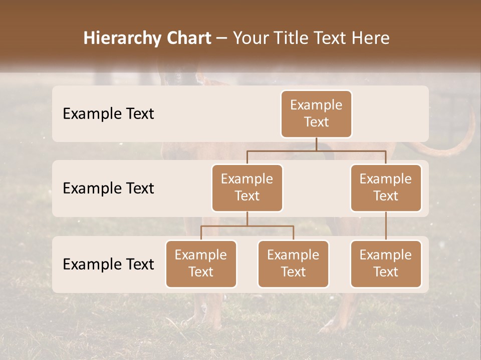 A Large Brown Dog Standing In The Grass PowerPoint Template