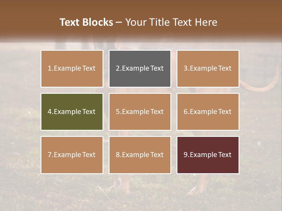 A Large Brown Dog Standing In The Grass PowerPoint Template