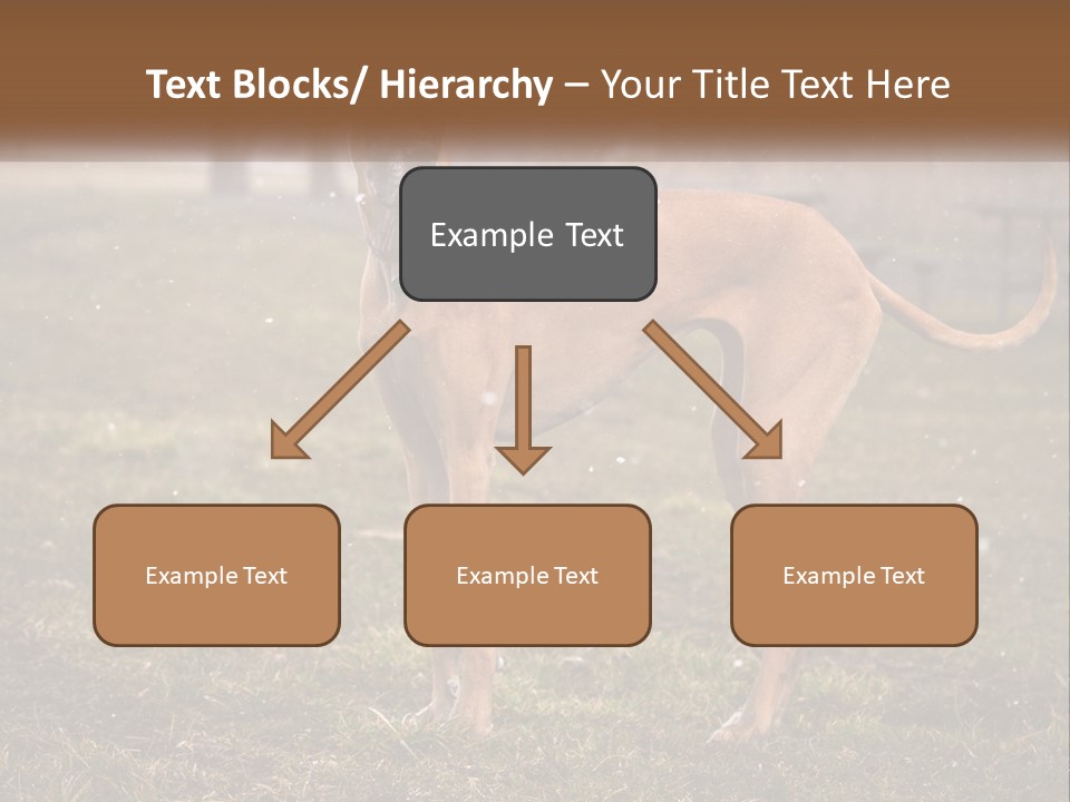 A Large Brown Dog Standing In The Grass PowerPoint Template