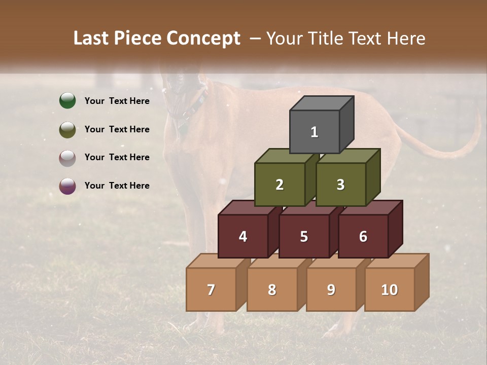 A Large Brown Dog Standing In The Grass PowerPoint Template