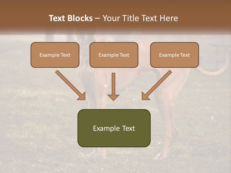 A Large Brown Dog Standing In The Grass PowerPoint Template