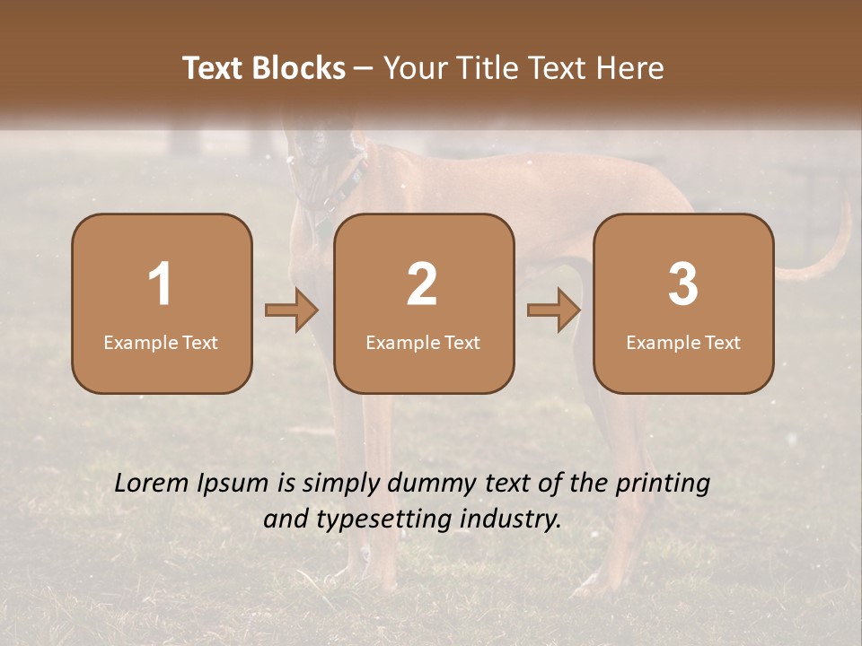 A Large Brown Dog Standing In The Grass PowerPoint Template