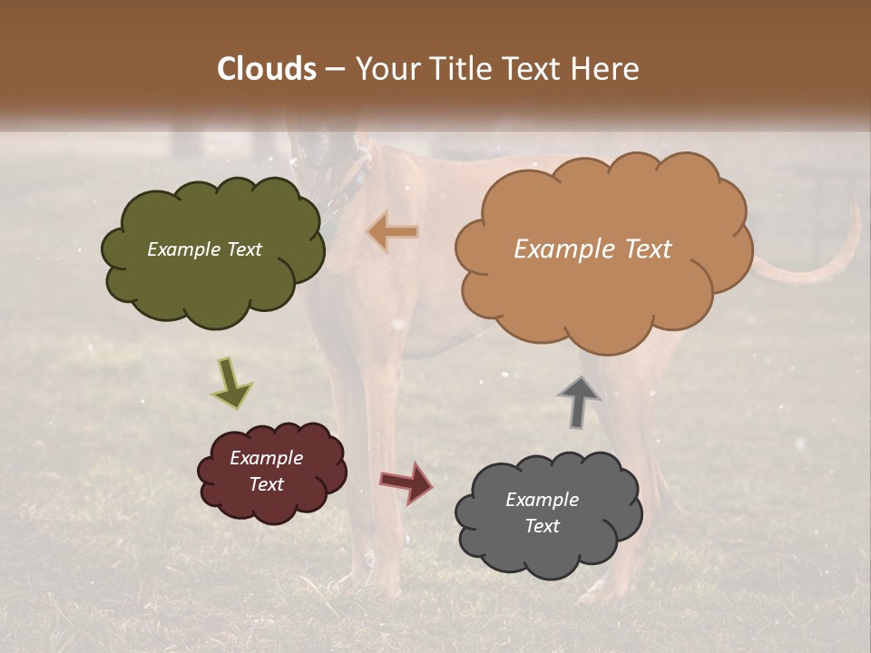 A Large Brown Dog Standing In The Grass PowerPoint Template