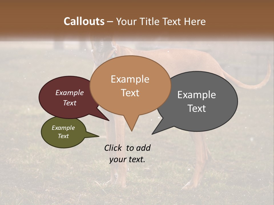 A Large Brown Dog Standing In The Grass PowerPoint Template