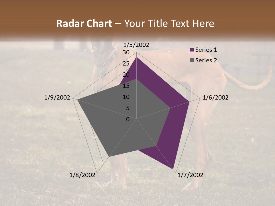 A Large Brown Dog Standing In The Grass PowerPoint Template