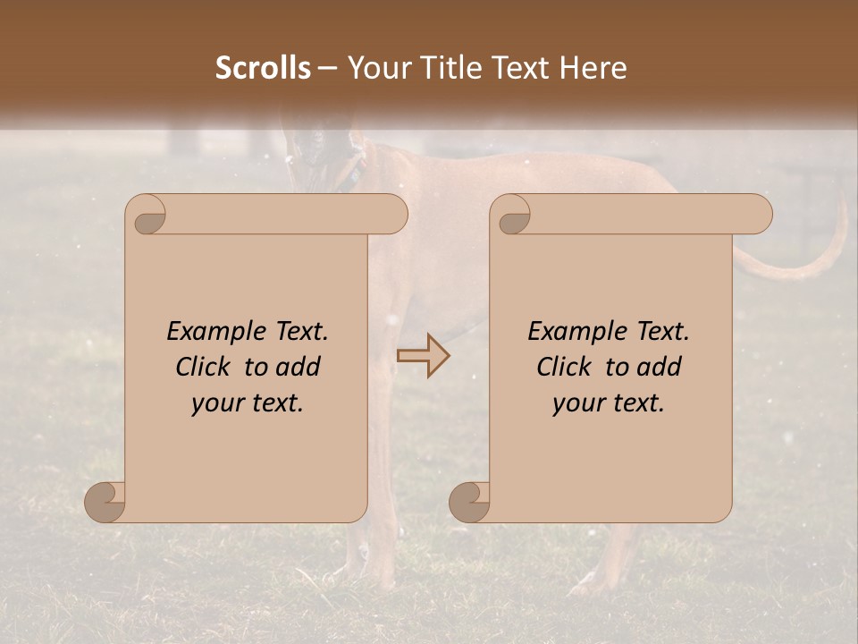 A Large Brown Dog Standing In The Grass PowerPoint Template