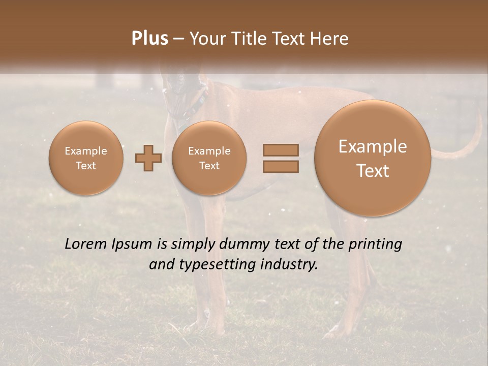 A Large Brown Dog Standing In The Grass PowerPoint Template