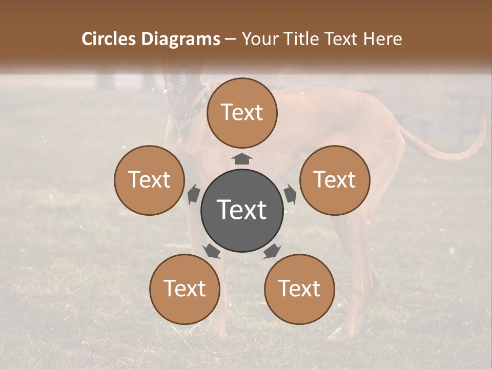 A Large Brown Dog Standing In The Grass PowerPoint Template