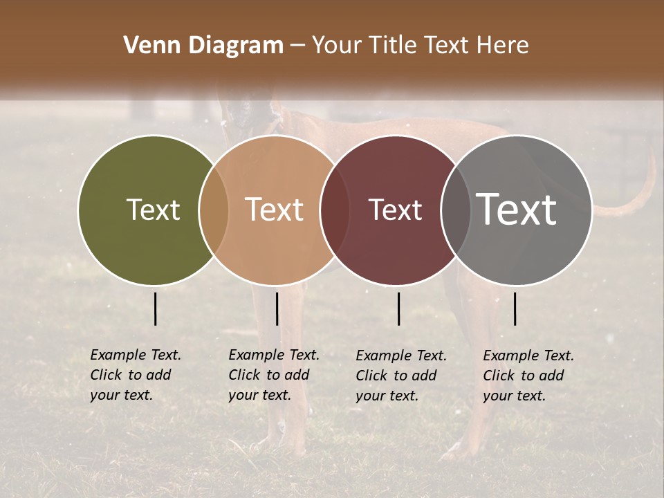 A Large Brown Dog Standing In The Grass PowerPoint Template