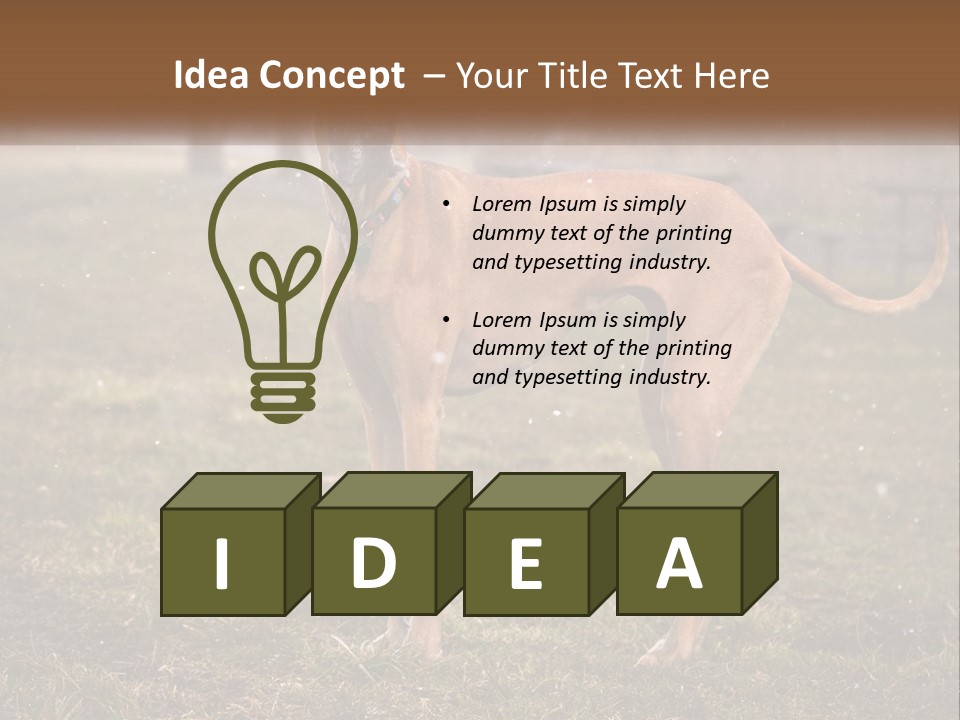 A Large Brown Dog Standing In The Grass PowerPoint Template
