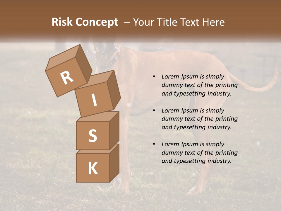 A Large Brown Dog Standing In The Grass PowerPoint Template