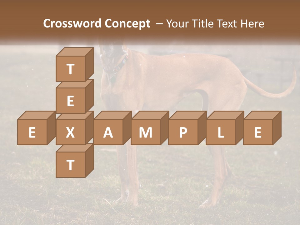 A Large Brown Dog Standing In The Grass PowerPoint Template