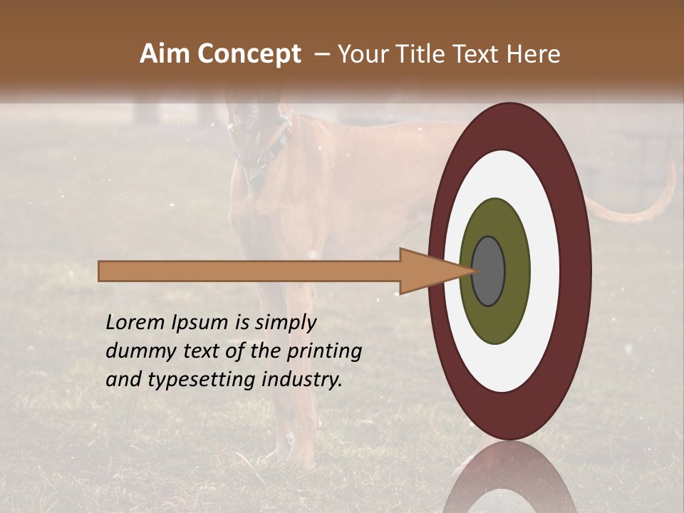 A Large Brown Dog Standing In The Grass PowerPoint Template