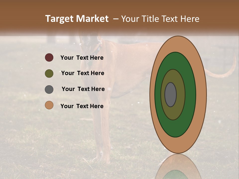 A Large Brown Dog Standing In The Grass PowerPoint Template