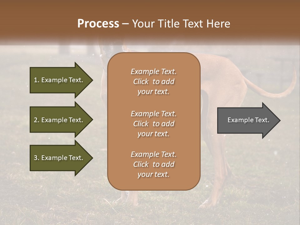A Large Brown Dog Standing In The Grass PowerPoint Template