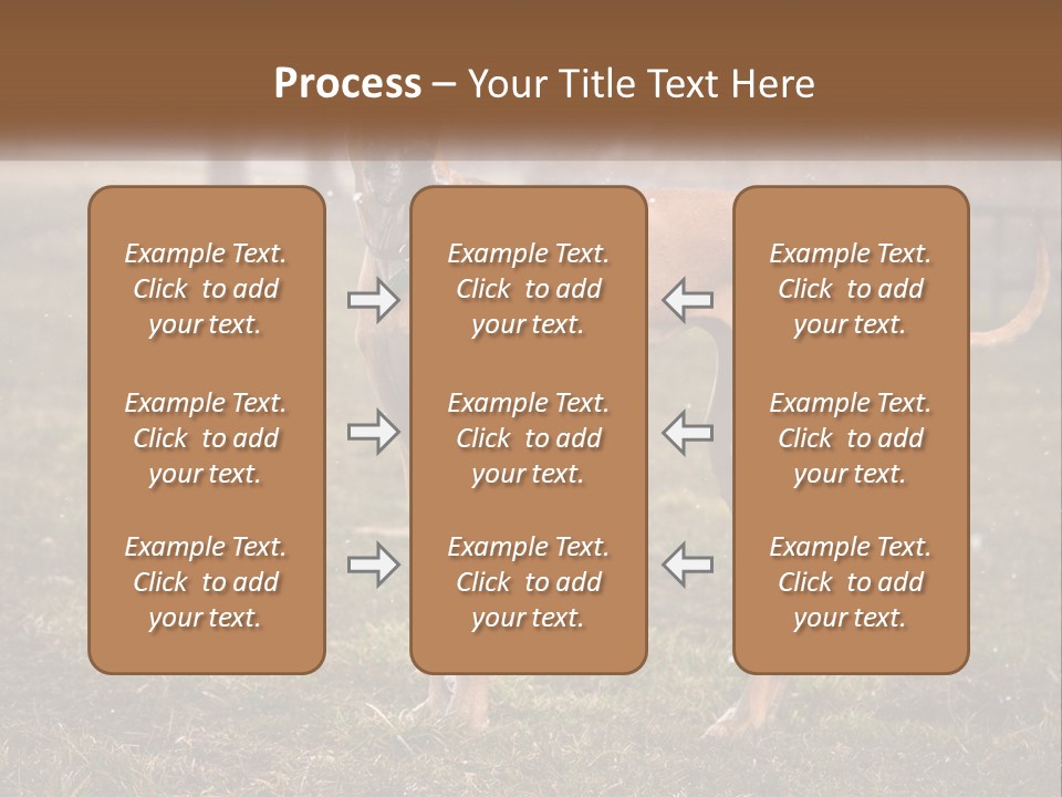 A Large Brown Dog Standing In The Grass PowerPoint Template