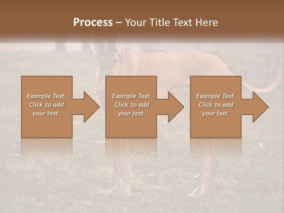 A Large Brown Dog Standing In The Grass PowerPoint Template