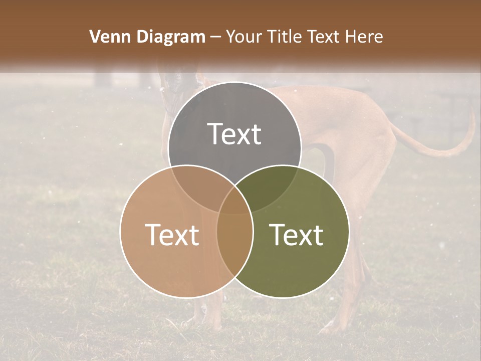A Large Brown Dog Standing In The Grass PowerPoint Template