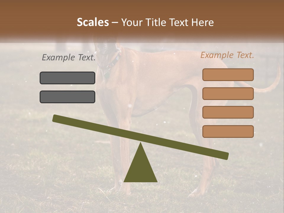 A Large Brown Dog Standing In The Grass PowerPoint Template
