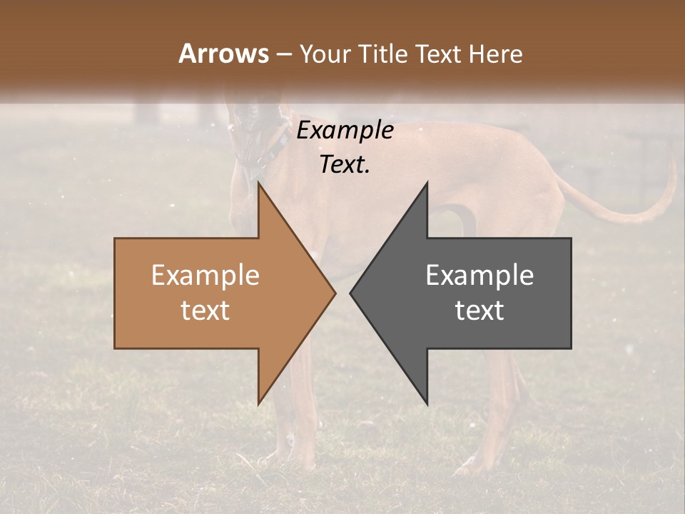 A Large Brown Dog Standing In The Grass PowerPoint Template