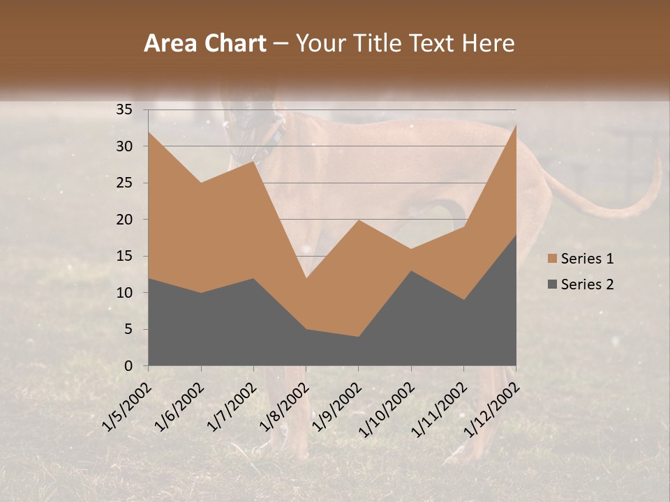 A Large Brown Dog Standing In The Grass PowerPoint Template