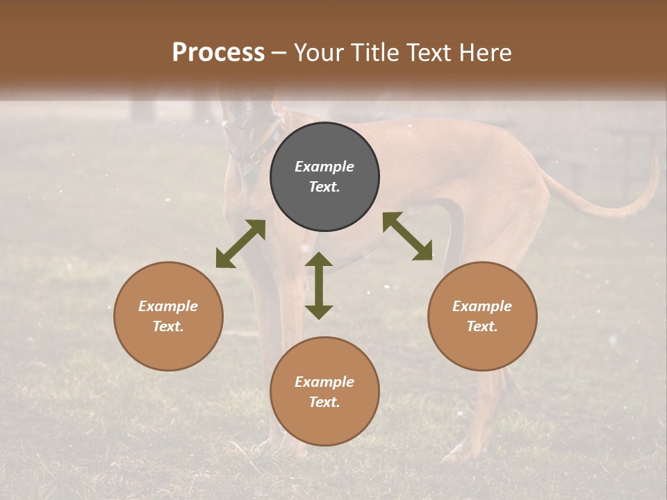 A Large Brown Dog Standing In The Grass PowerPoint Template