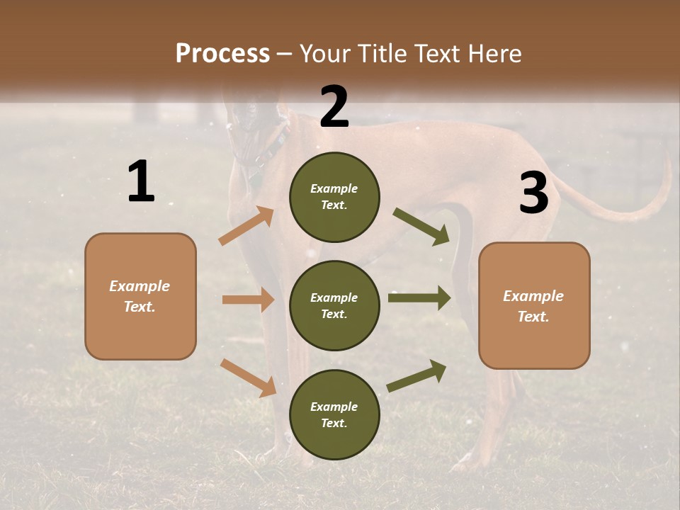 A Large Brown Dog Standing In The Grass PowerPoint Template