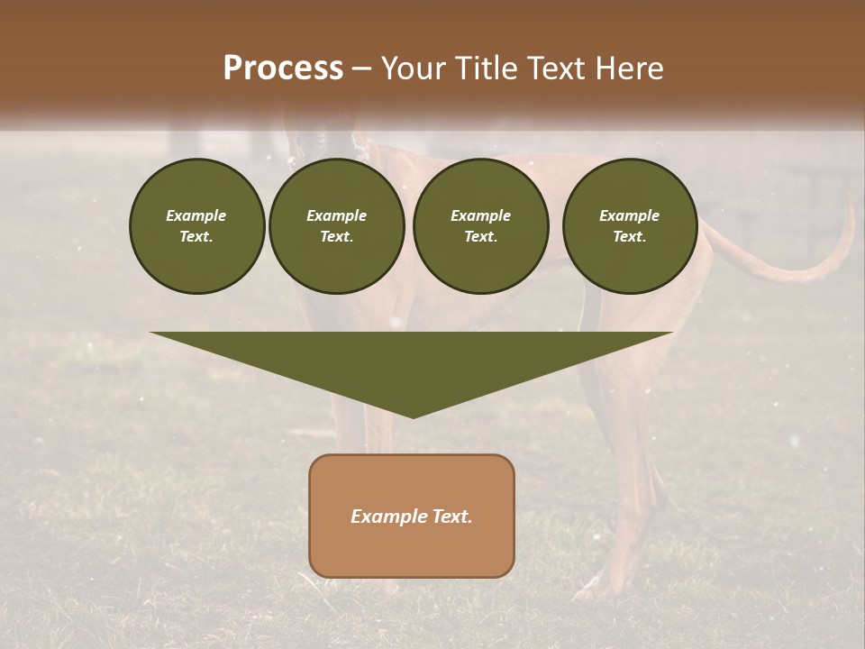 A Large Brown Dog Standing In The Grass PowerPoint Template