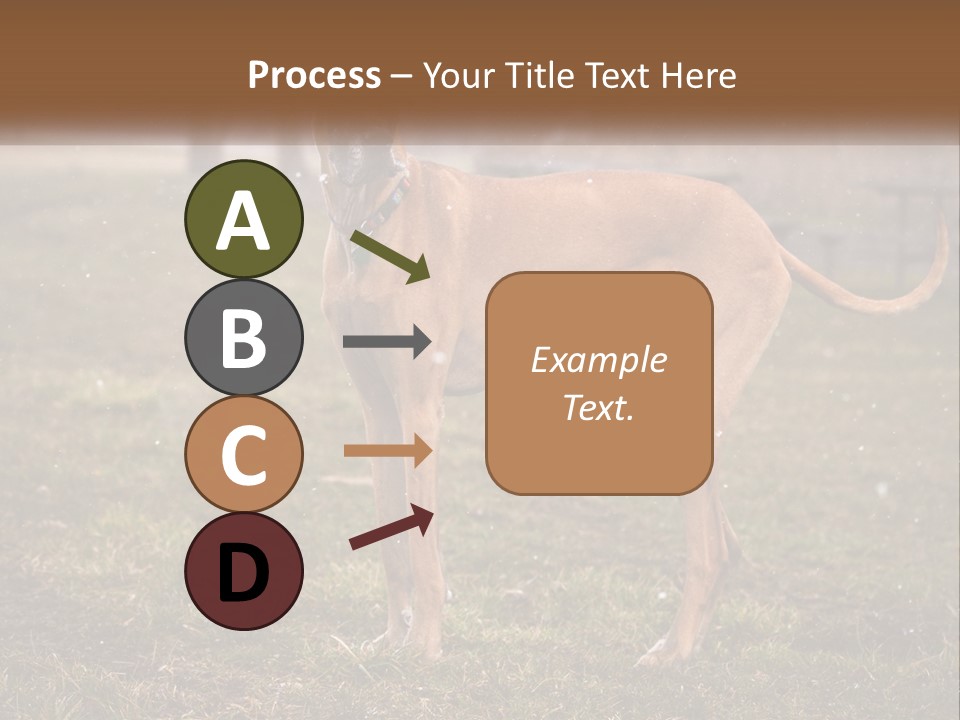 A Large Brown Dog Standing In The Grass PowerPoint Template