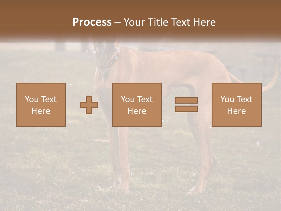 A Large Brown Dog Standing In The Grass PowerPoint Template