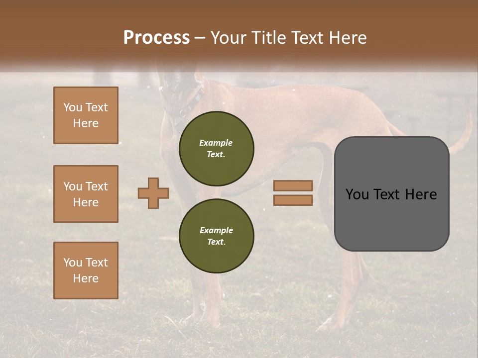 A Large Brown Dog Standing In The Grass PowerPoint Template
