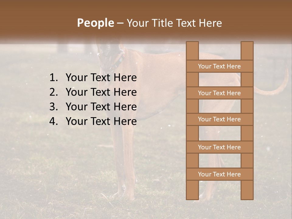 A Large Brown Dog Standing In The Grass PowerPoint Template