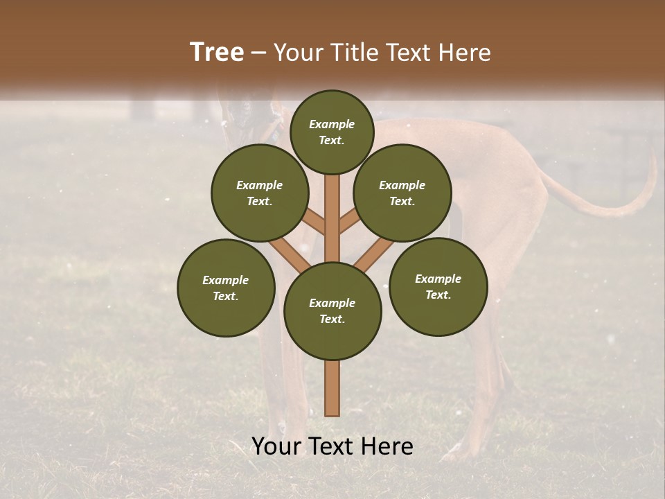 A Large Brown Dog Standing In The Grass PowerPoint Template