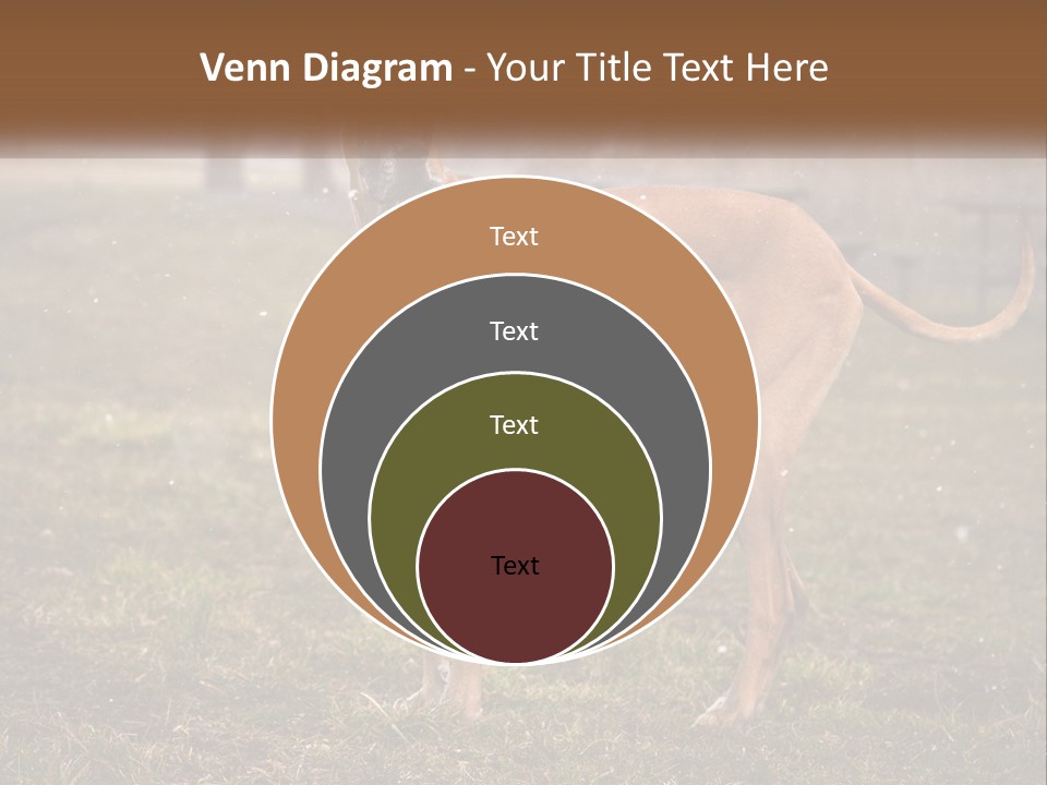 A Large Brown Dog Standing In The Grass PowerPoint Template