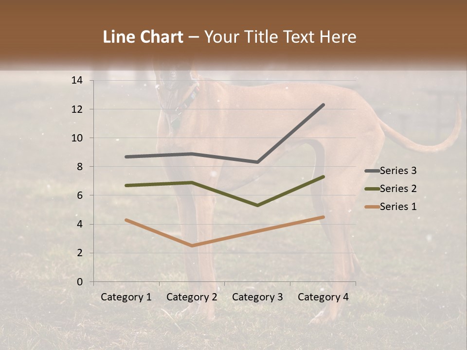 A Large Brown Dog Standing In The Grass PowerPoint Template