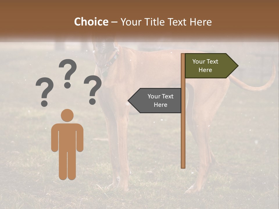 A Large Brown Dog Standing In The Grass PowerPoint Template