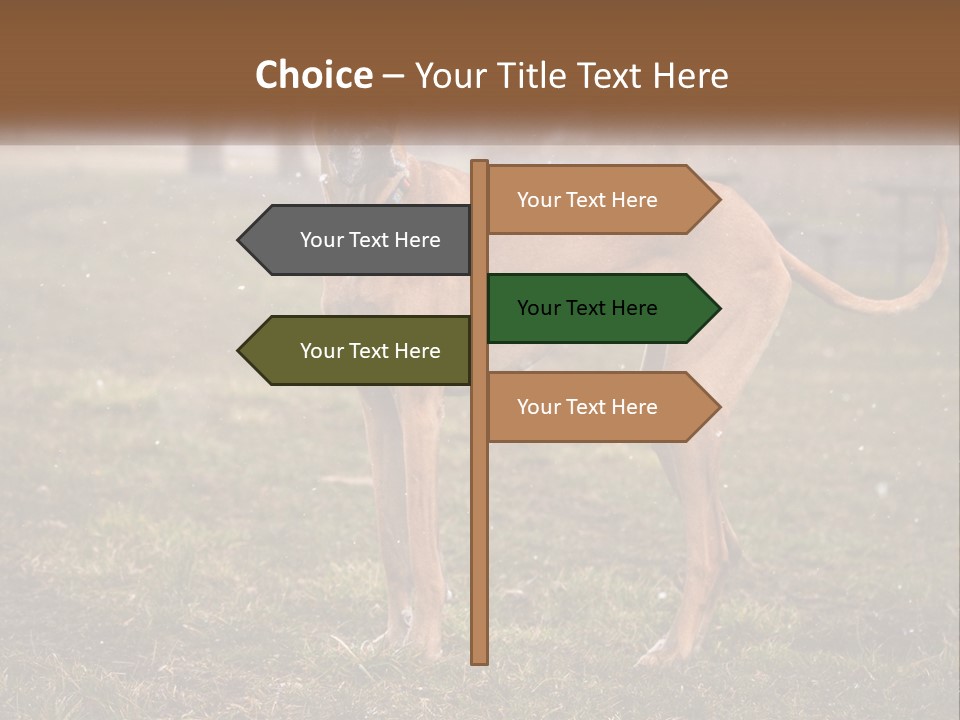 A Large Brown Dog Standing In The Grass PowerPoint Template